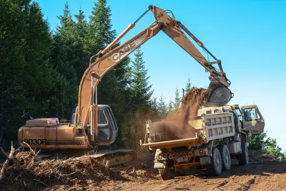 كازينو سلوتي واي الدعم